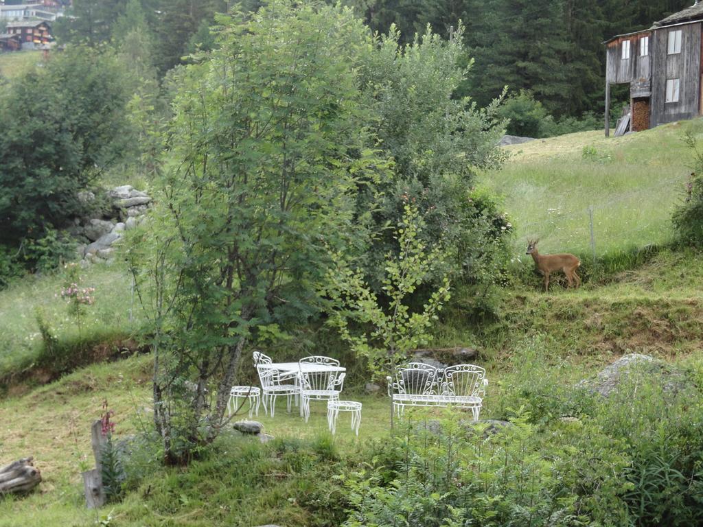 Chalet Sven & Marc Graechen, Niedergraechen Vallis Sankt Niklaus Oda fotoğraf